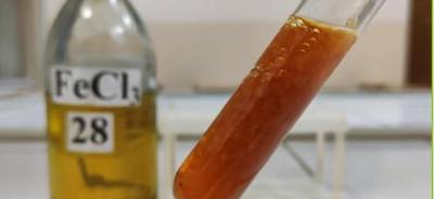 Університет на карантині, робота триває!