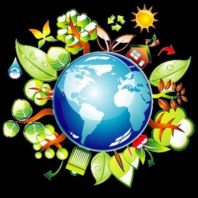 Призове місце у конкурсі з екології